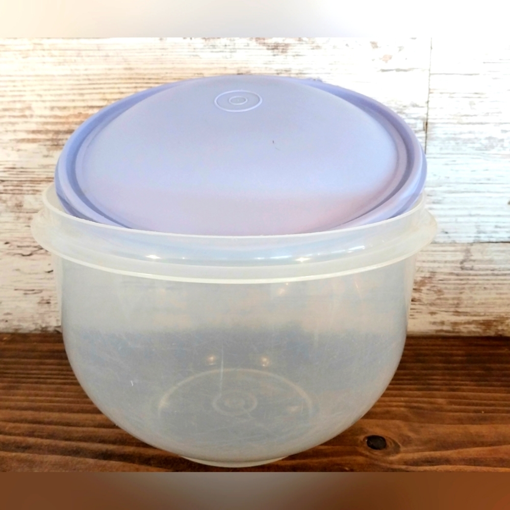 Vtg Tupperware Lettuce Crisper Keeper 1424-2 BLUE LID No Stains No Spike  1425-1